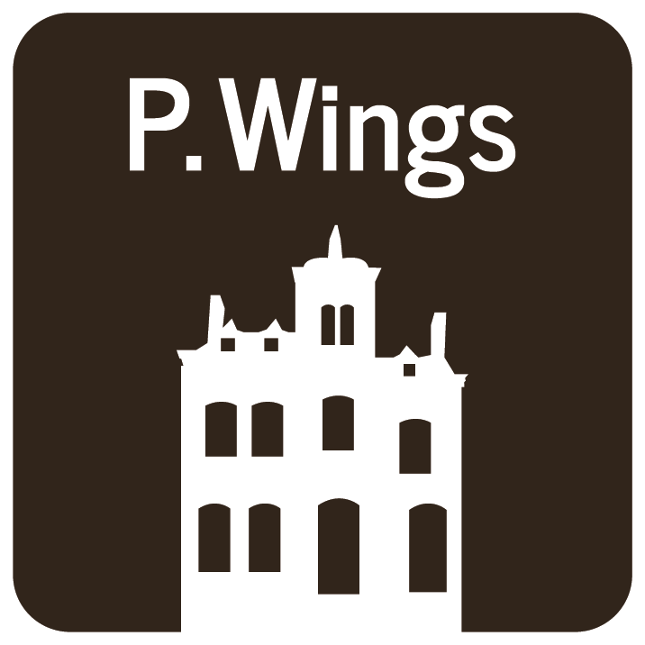 Www pwings ch paidw ag